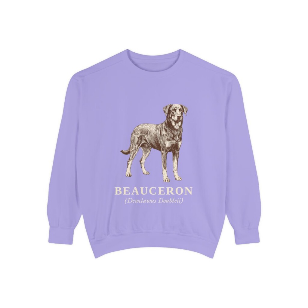 Beauceron Latin Sweatshirt, Violet, front view