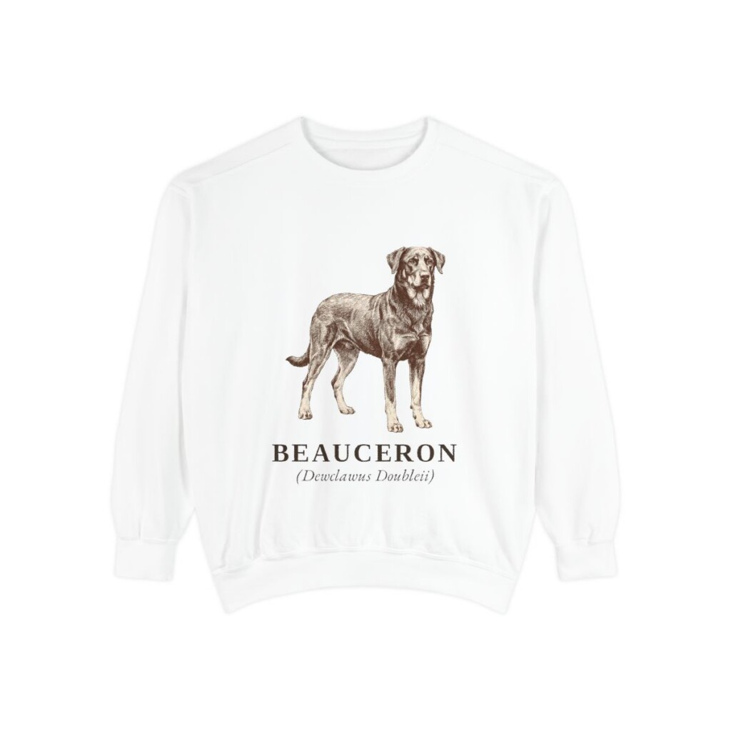 Beauceron Latin Sweatshirt, White, front view