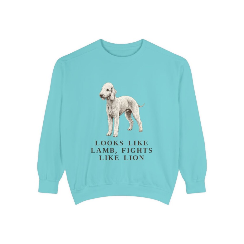 Bedlington Terrier Humor Sweatshirt, Chalky Mint, front view