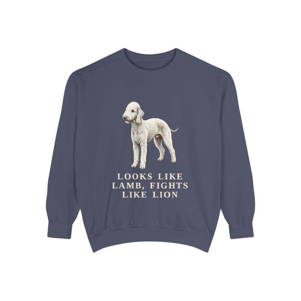 Bedlington Terrier Humor Sweatshirt, Denim, front view