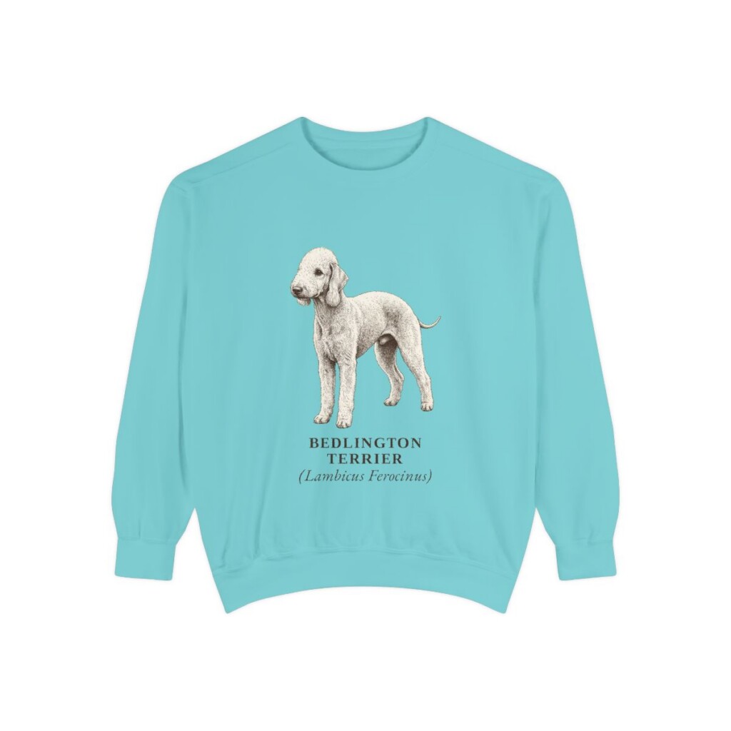 Bedlington Terrier Latin Sweatshirt, Chalky Mint, front view