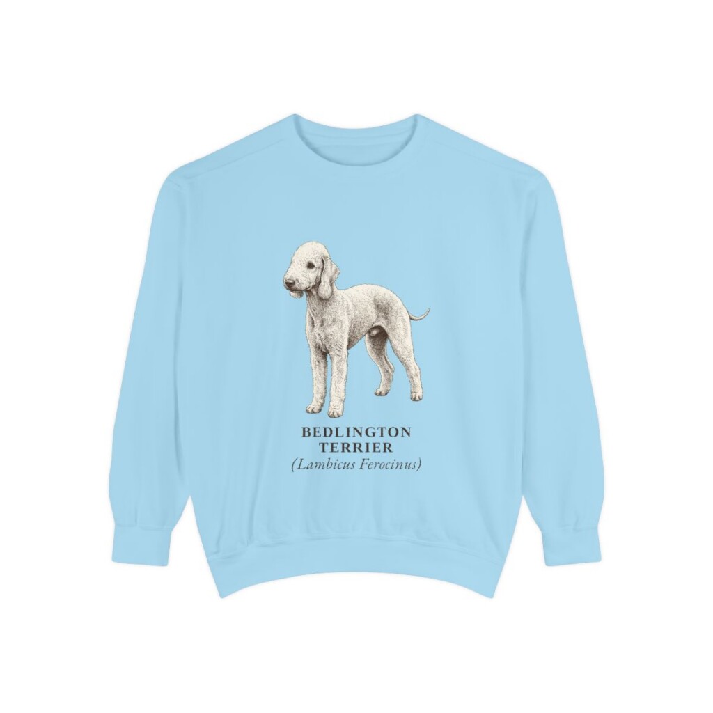 Bedlington Terrier Latin Sweatshirt, Chambray, front view