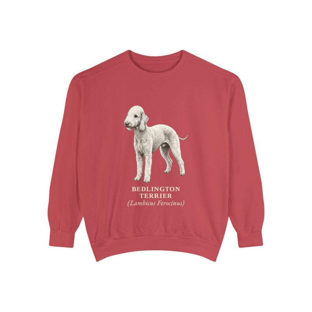 Bedlington Terrier Latin Sweatshirt, Crimson, front view