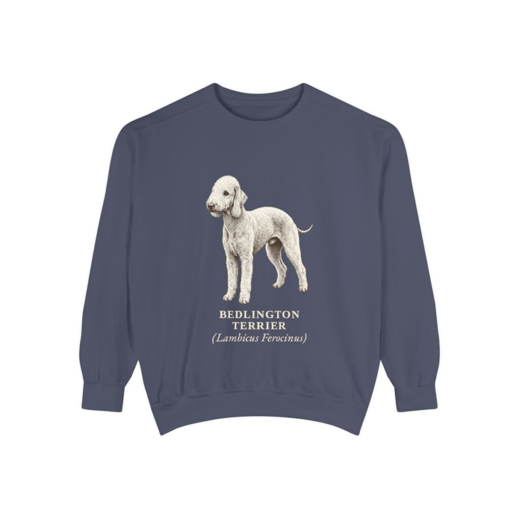 Bedlington Terrier Latin Sweatshirt, Denim, front view
