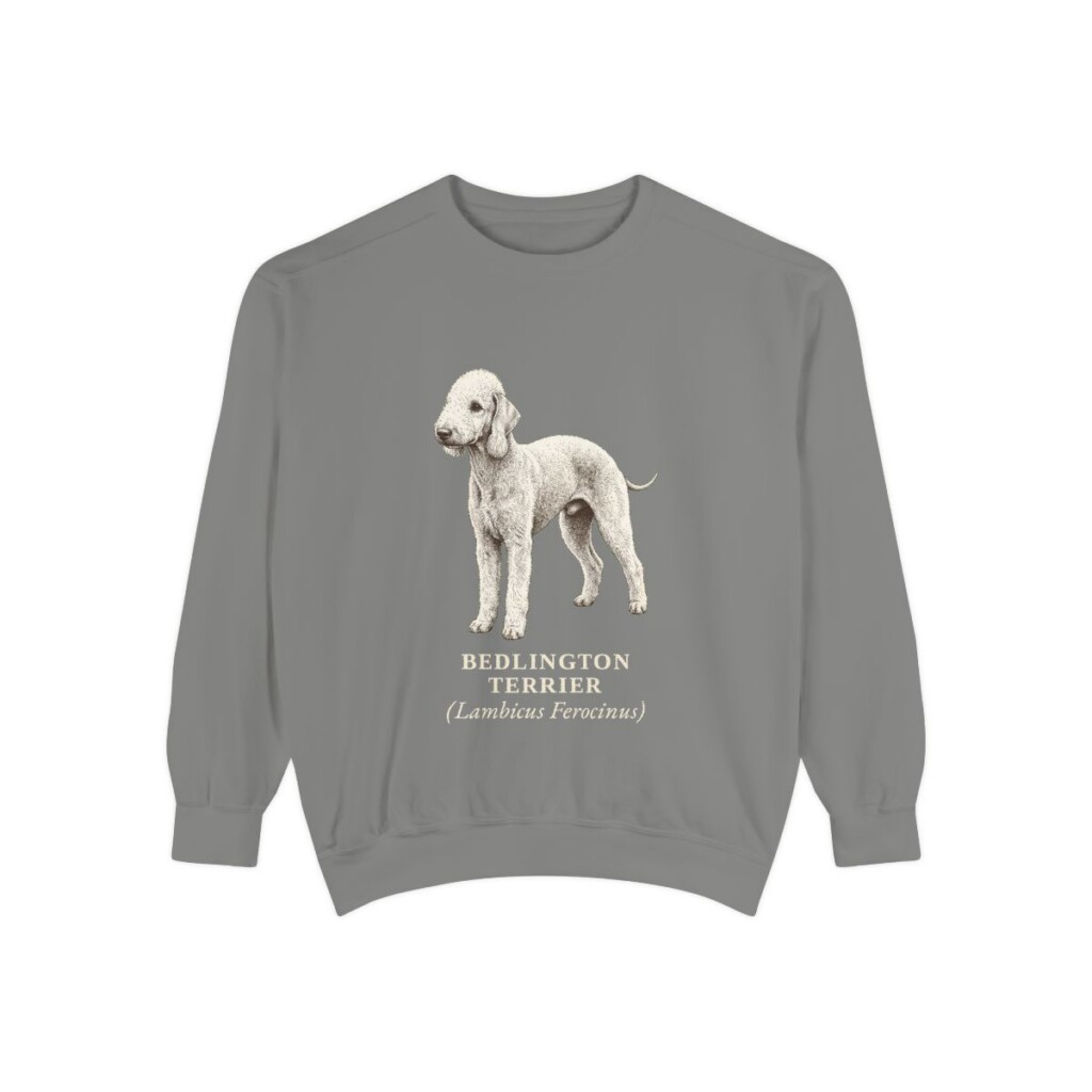 Bedlington Terrier Latin Sweatshirt, Grey, front view