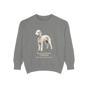 Bedlington Terrier Latin Sweatshirt, Grey, front view
