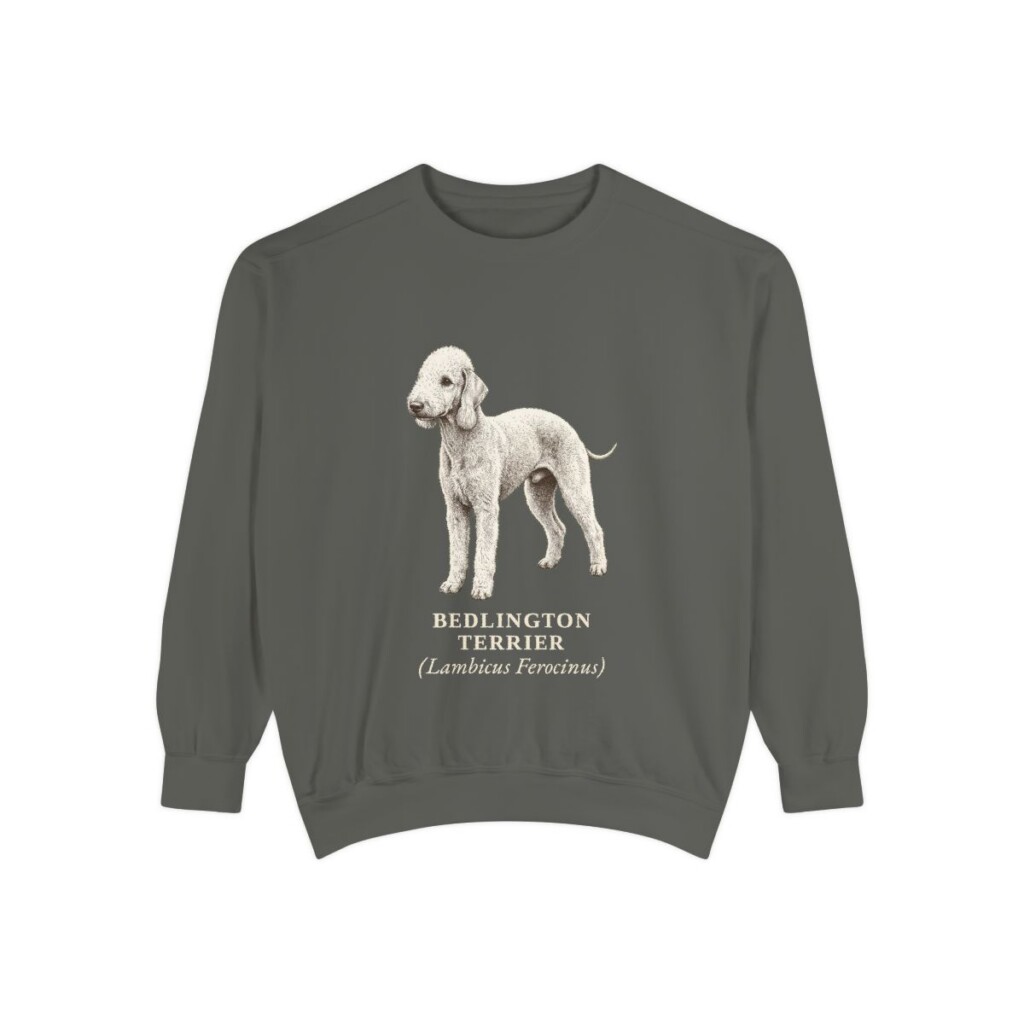 Bedlington Terrier Latin Sweatshirt, Pepper, front view