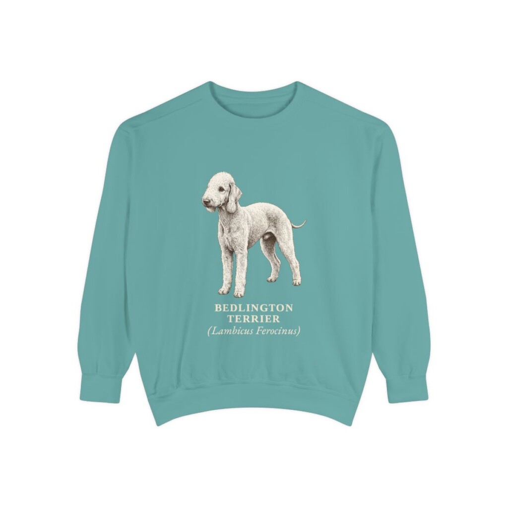 Bedlington Terrier Latin Sweatshirt, Seafoam, front view