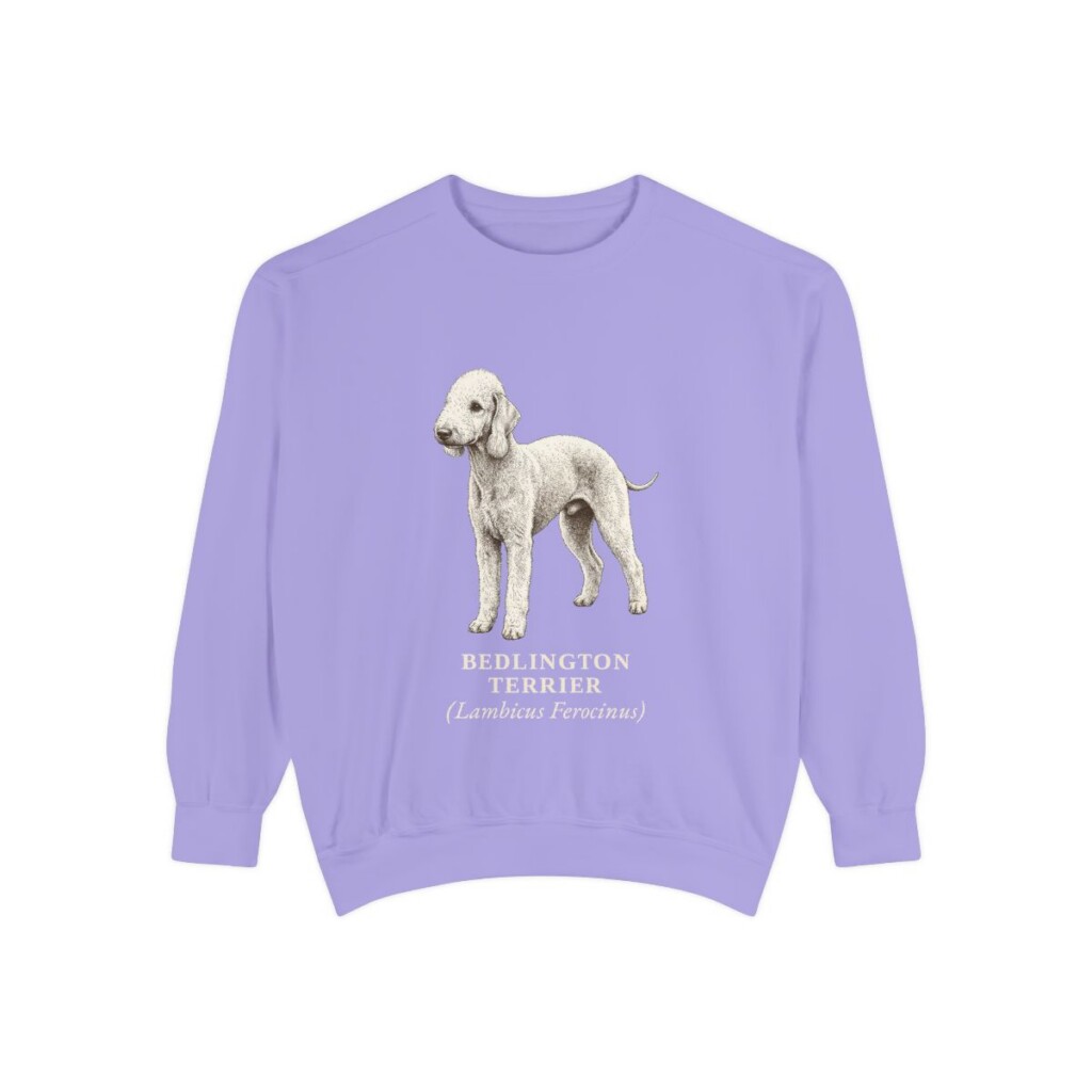 Bedlington Terrier Latin Sweatshirt, Violet, front view
