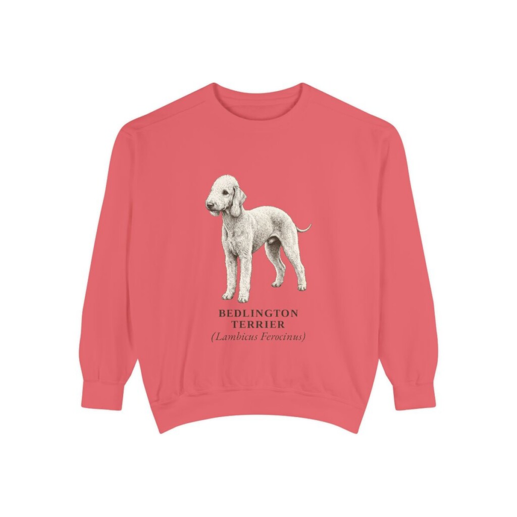Bedlington Terrier Latin Sweatshirt, Watermelon, front view