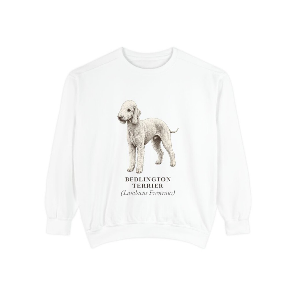 Bedlington Terrier Latin Sweatshirt, White, front view