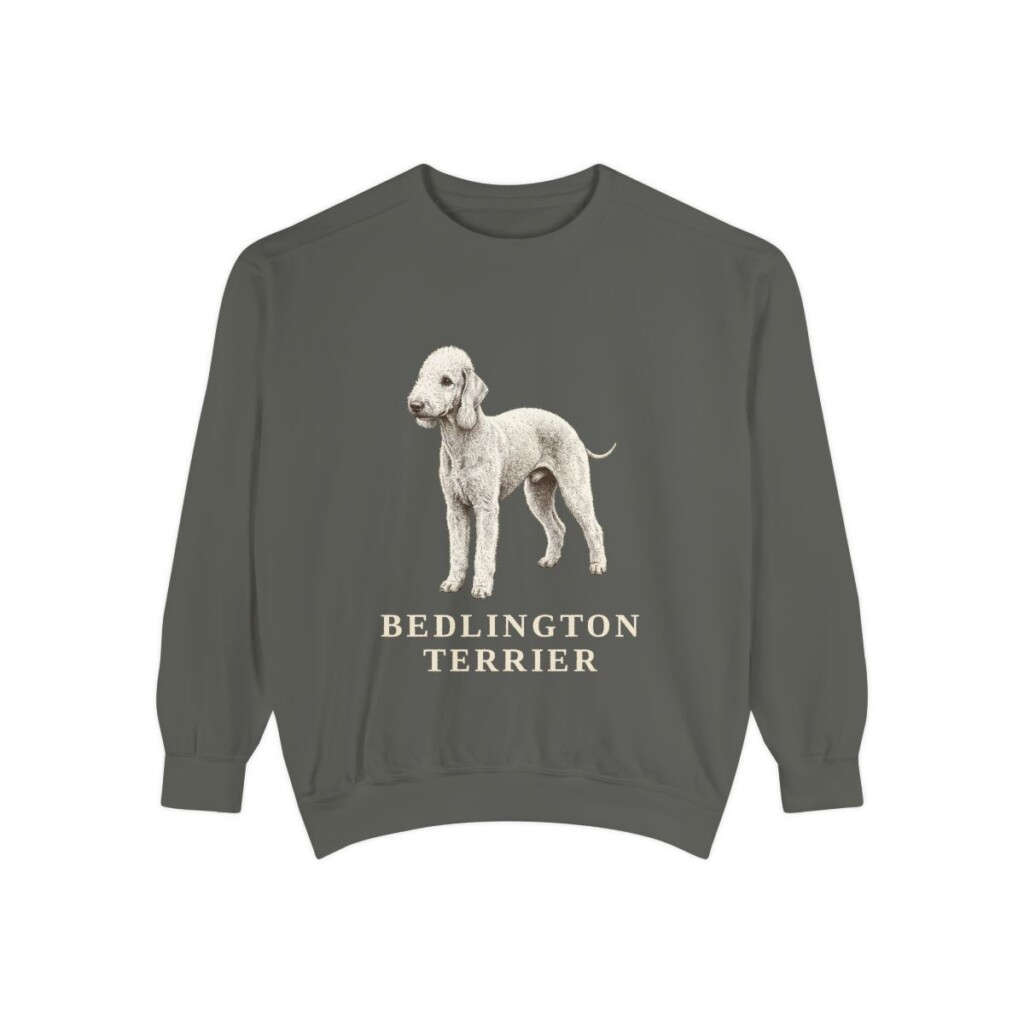 Bedlington Terrier Sweatshirt, Pepper, front view