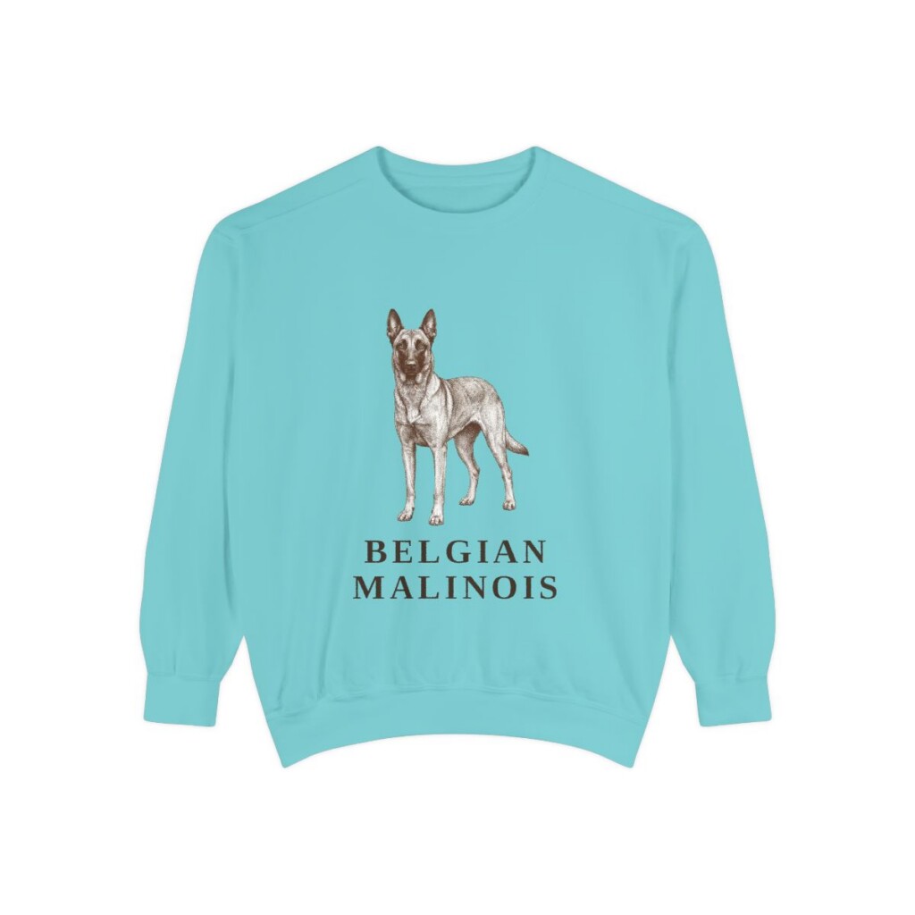 Belgian Malinois Sweatshirt, Chalky Mint, front view