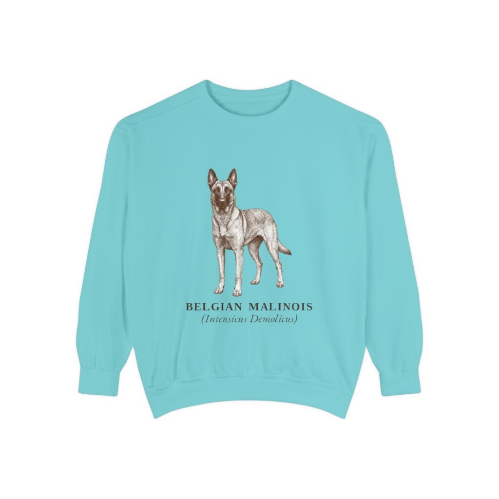 Belgian Malinois Latin Sweatshirt, Chalky Mint, front view