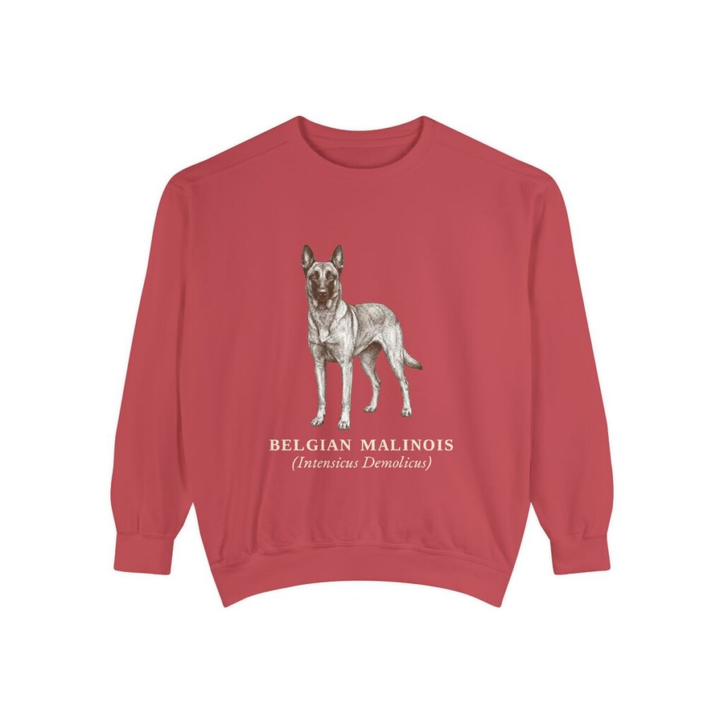 Belgian Malinois Latin Sweatshirt, Crimson, front view
