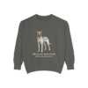 Belgian Malinois Latin Sweatshirt, Pepper, front view