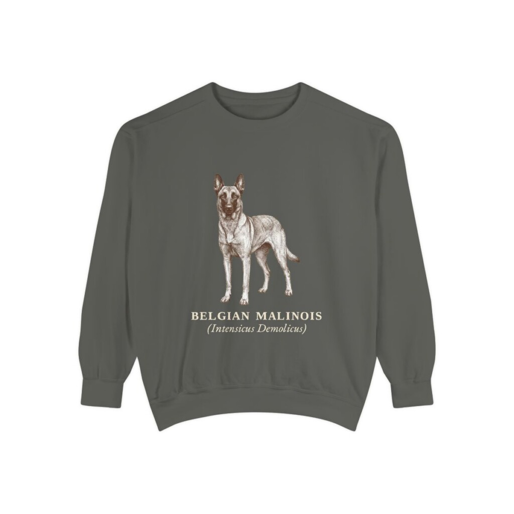 Belgian Malinois Latin Sweatshirt, Pepper, front view