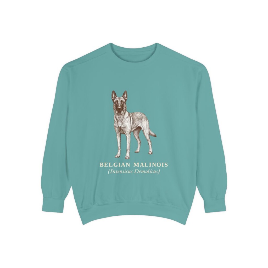Belgian Malinois Latin Sweatshirt, Seafoam, front view