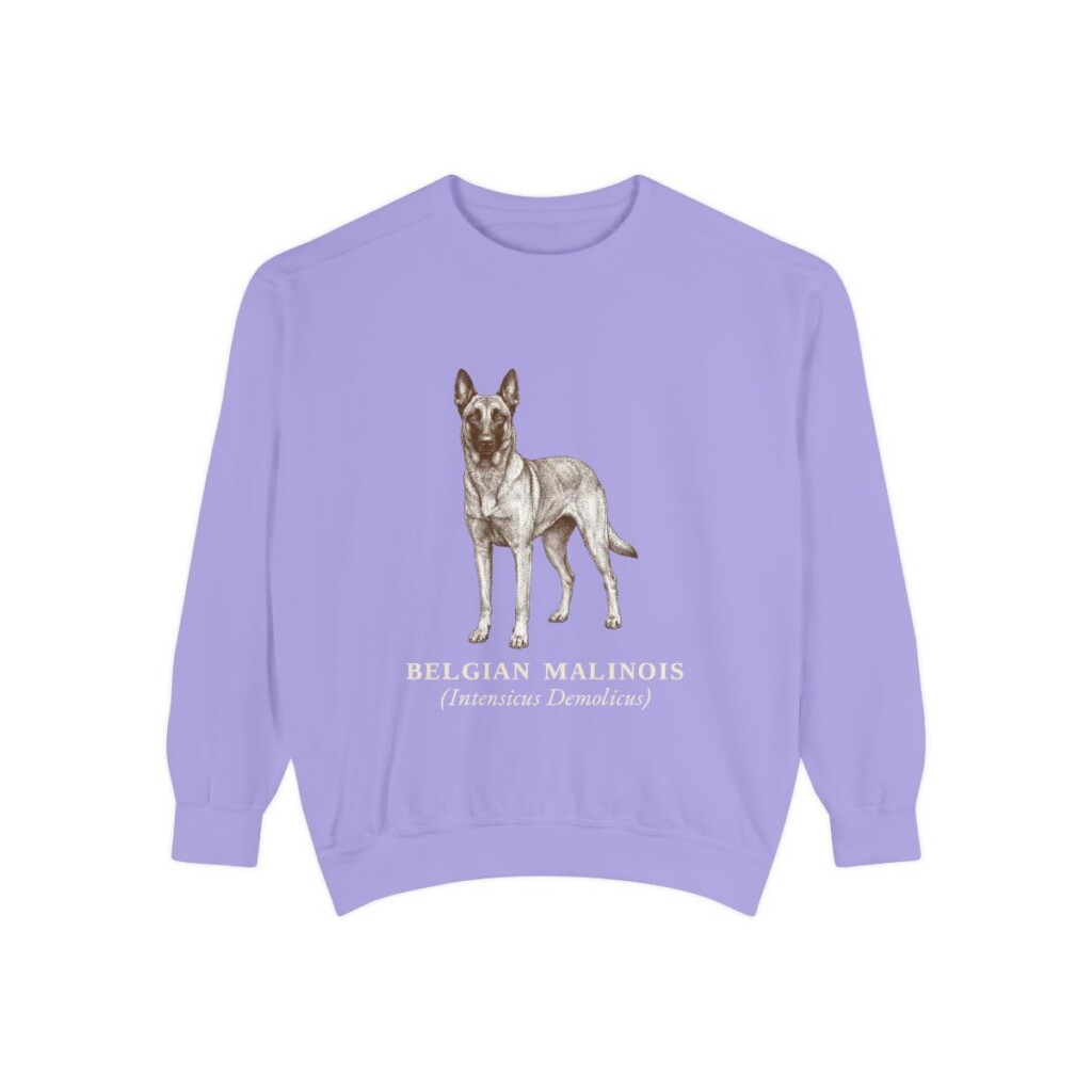 Belgian Malinois Latin Sweatshirt, Violet, front view