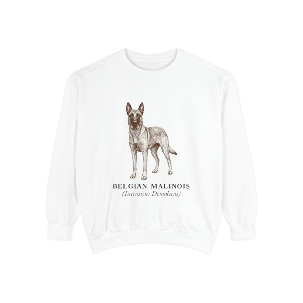 Belgian Malinois Latin Sweatshirt, White, front view
