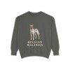Belgian Malinois Sweatshirt, Pepper, front view