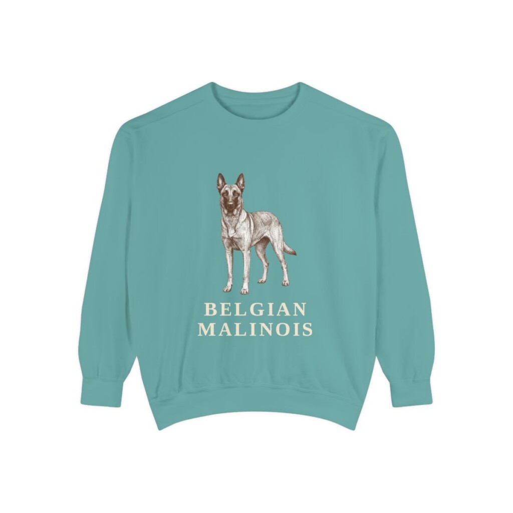 Belgian Malinois Sweatshirt, Seafoam, front view