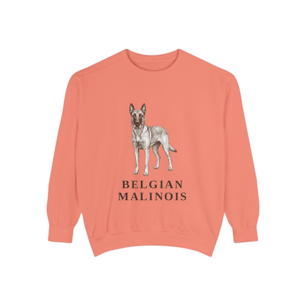 Belgian Malinois Sweatshirt, Terracotta, front view