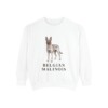 Belgian Malinois Sweatshirt, White, front view