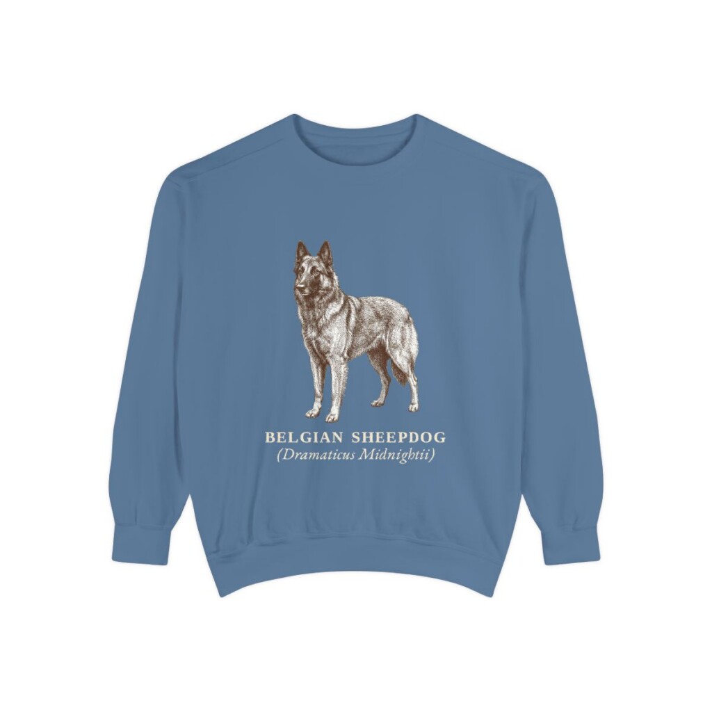 Belgian Sheepdog Latin Sweatshirt, Blue Jean, front view