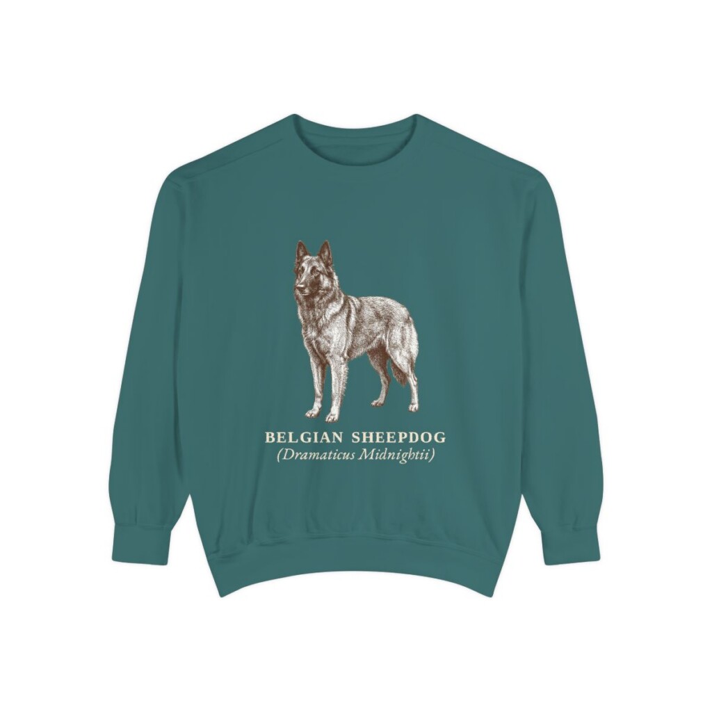 Belgian Sheepdog Latin Sweatshirt, Blue Spruce, front view