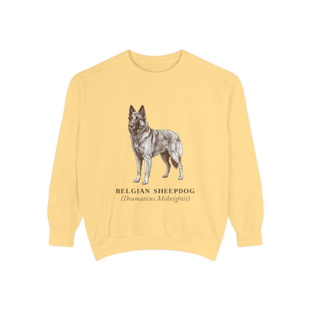 Belgian Sheepdog Latin Sweatshirt, Butter, front view