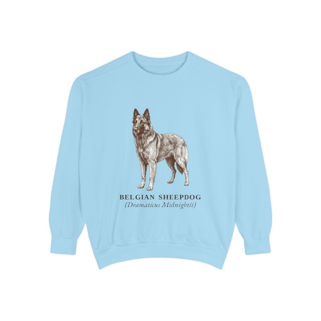 Belgian Sheepdog Latin Sweatshirt, Chambray, front view