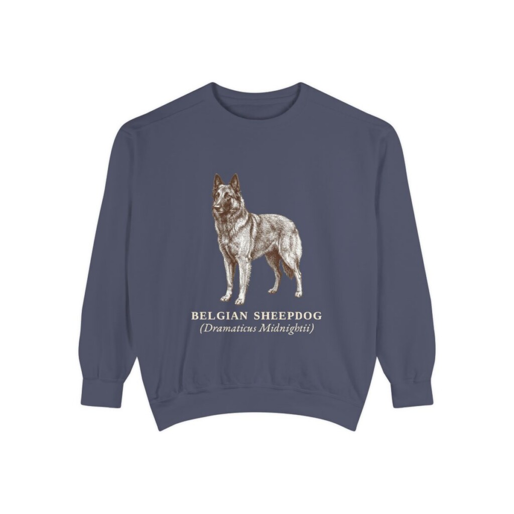Belgian Sheepdog Latin Sweatshirt, Denim, front view