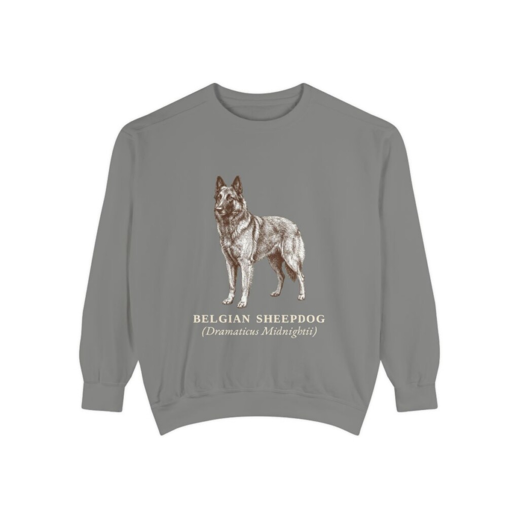 Belgian Sheepdog Latin Sweatshirt, Grey, front view