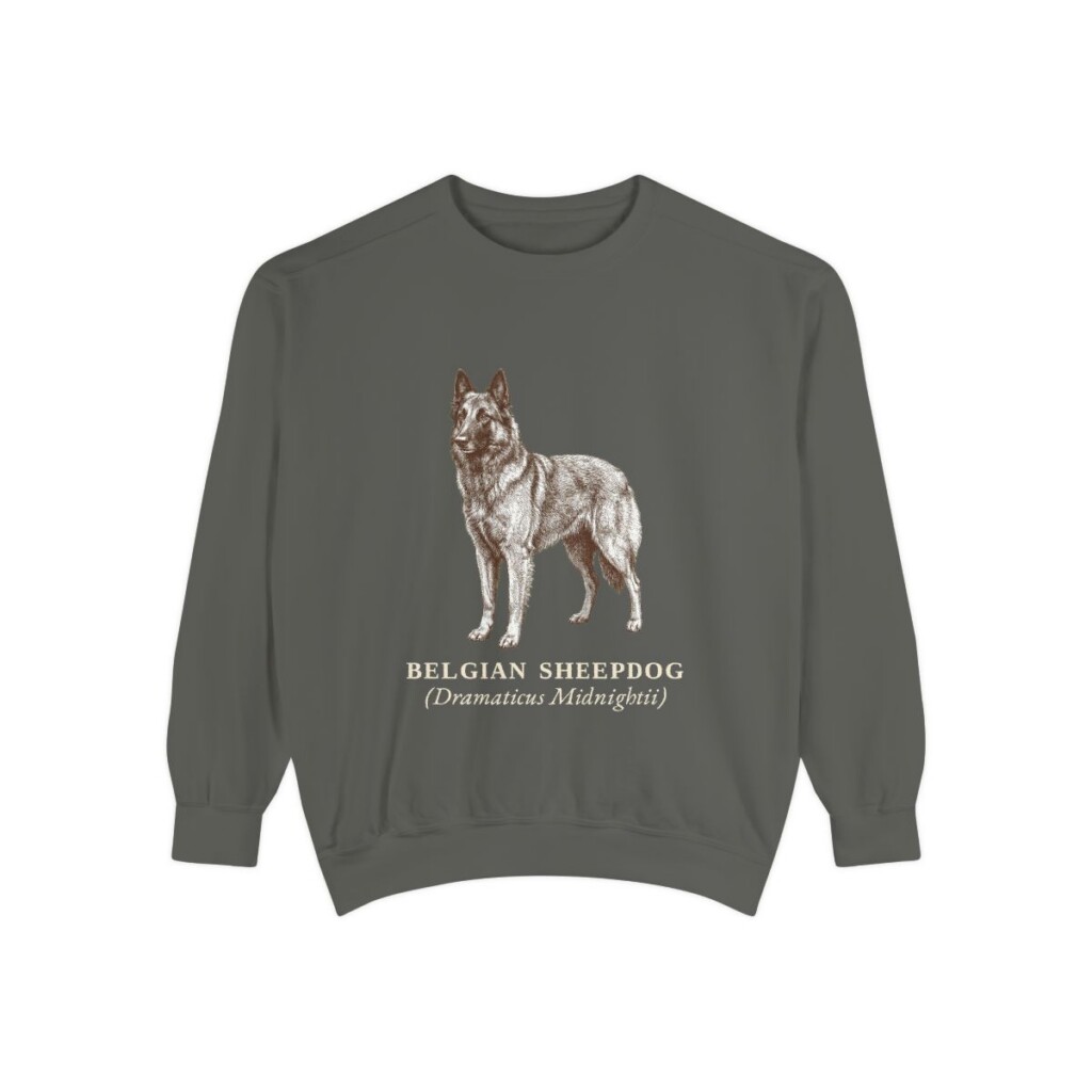 Belgian Sheepdog Latin Sweatshirt, Pepper, front view