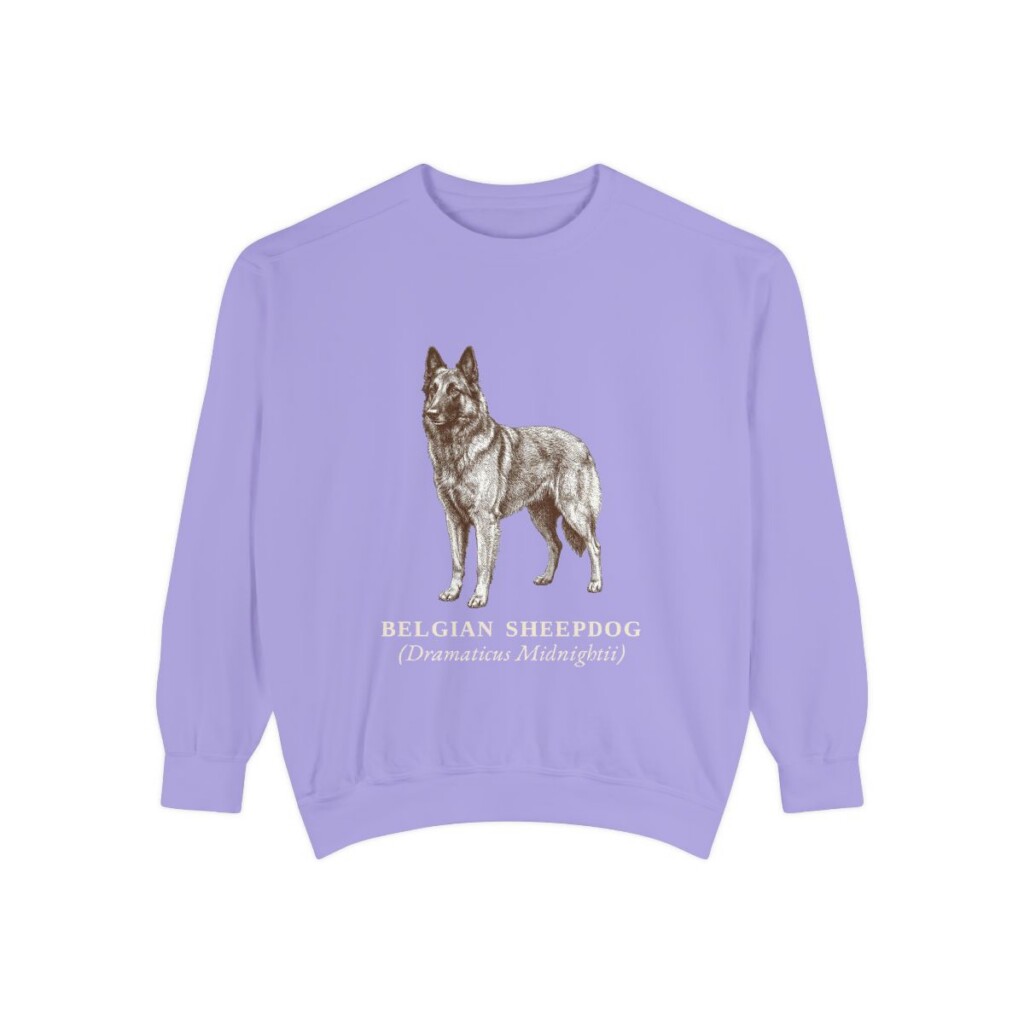 Belgian Sheepdog Latin Sweatshirt, Violet, front view