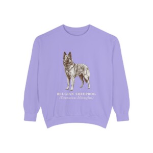 Belgian Sheepdog Latin Sweatshirt, Violet, front view