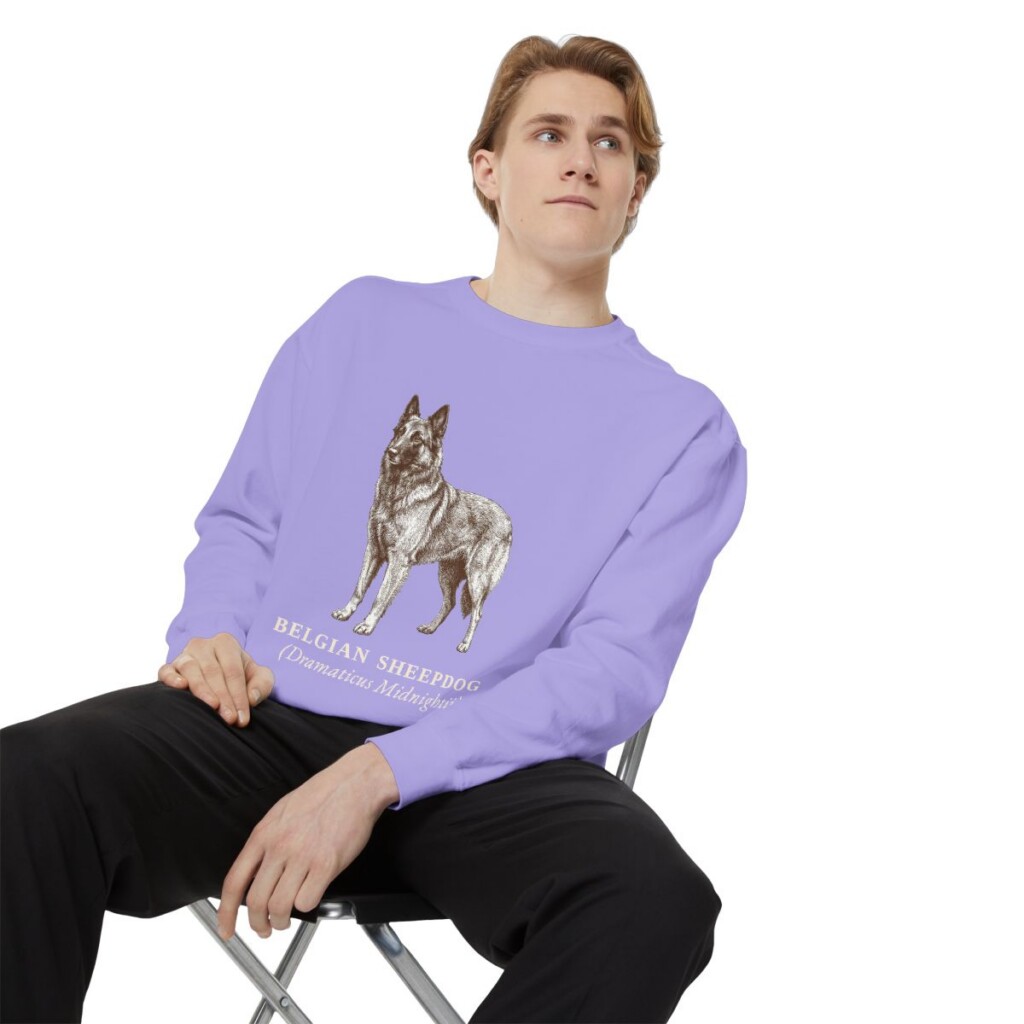 Belgian Sheepdog Latin Sweatshirt, Violet, person 1 context