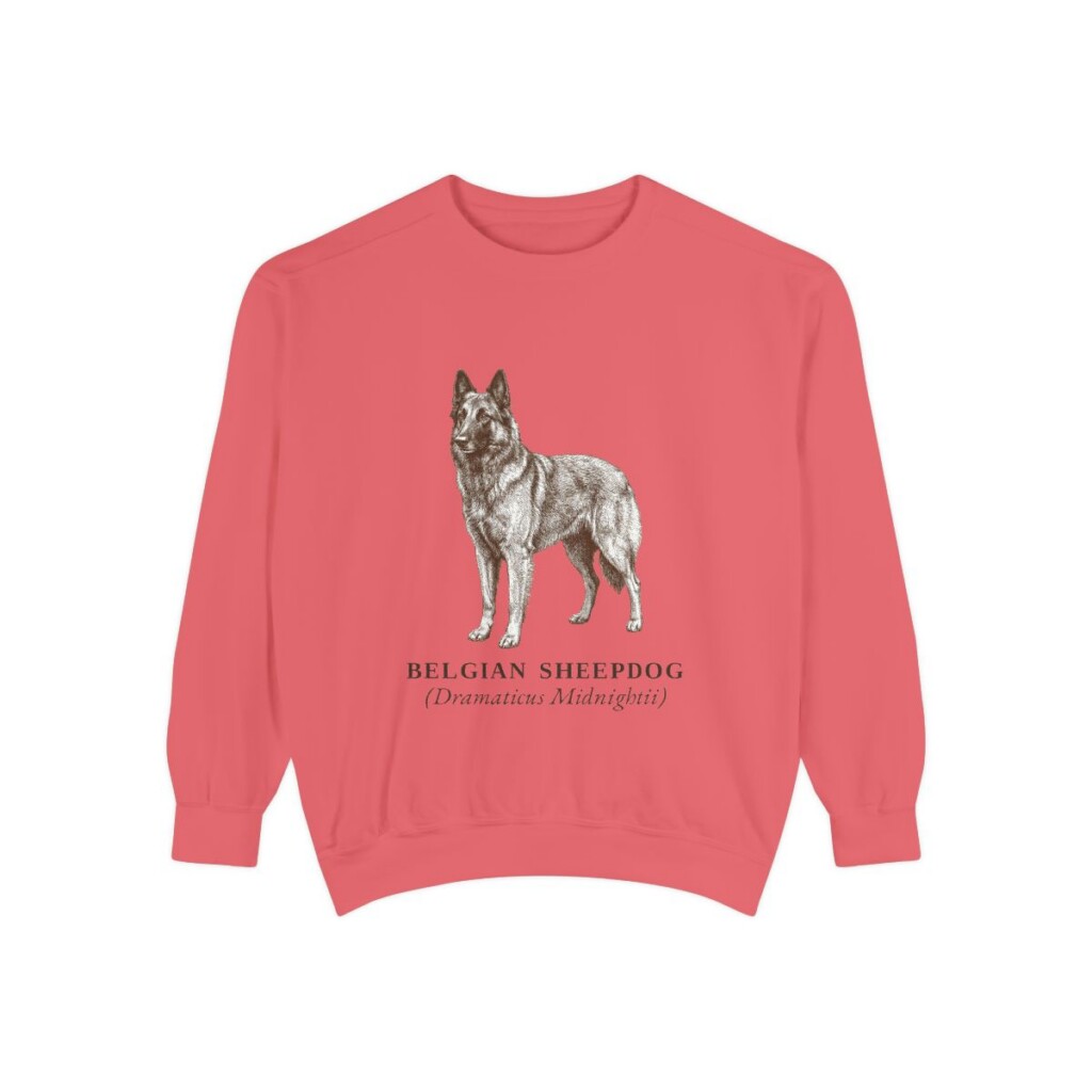 Belgian Sheepdog Latin Sweatshirt, Watermelon, front view