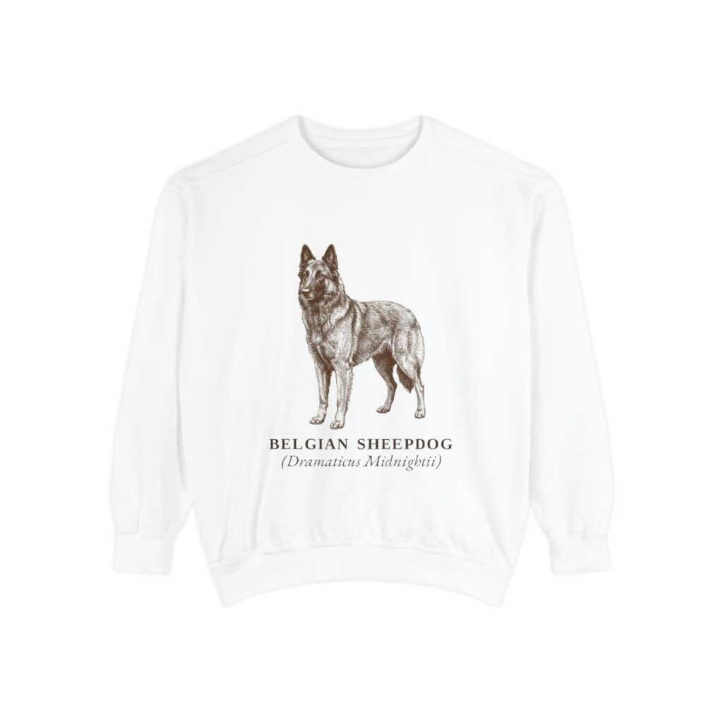 Belgian Sheepdog Latin Sweatshirt, White, front view