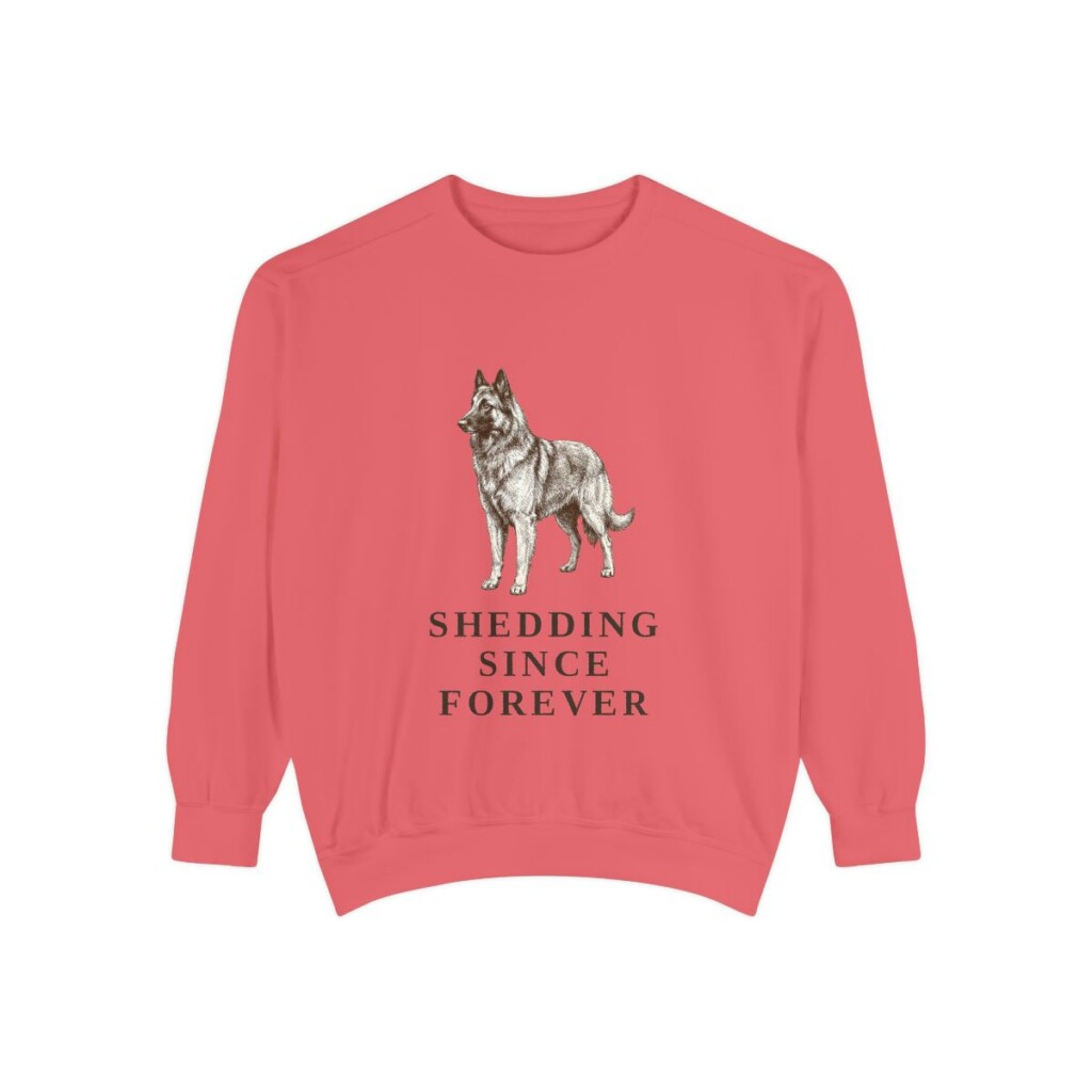Belgian Tervuren Humor Sweatshirt, Watermelon, front view