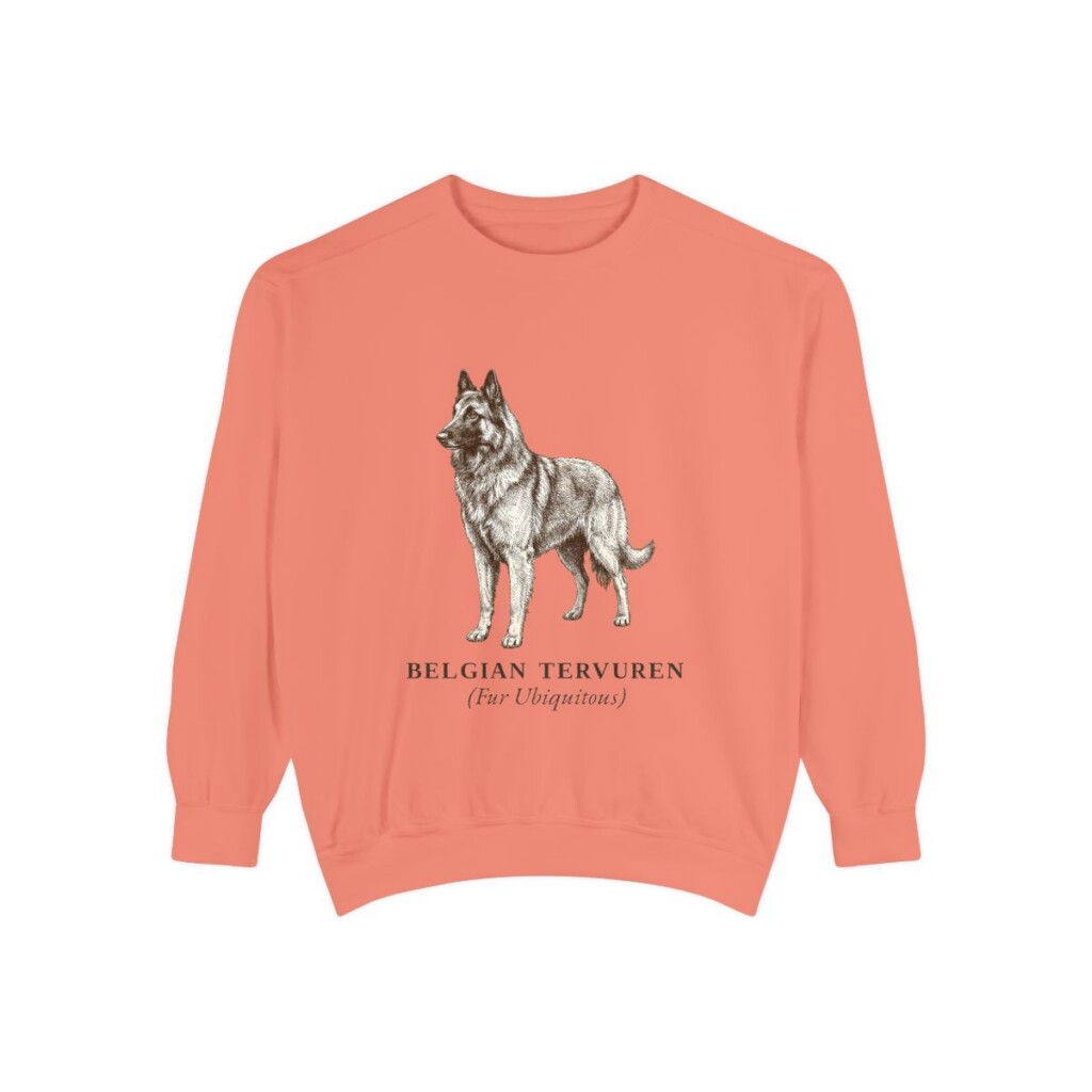 Belgian Tervuren Latin Sweatshirt, Terracotta, front view