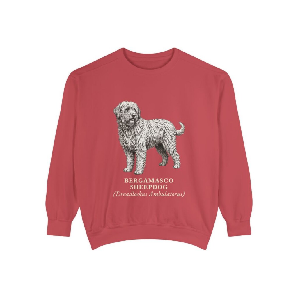 Bergamasco Sheepdog Latin Sweatshirt, Crimson, front view