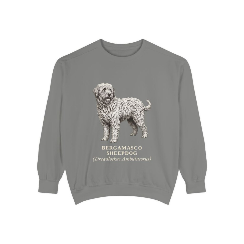 Bergamasco Sheepdog Latin Sweatshirt, Grey, front view