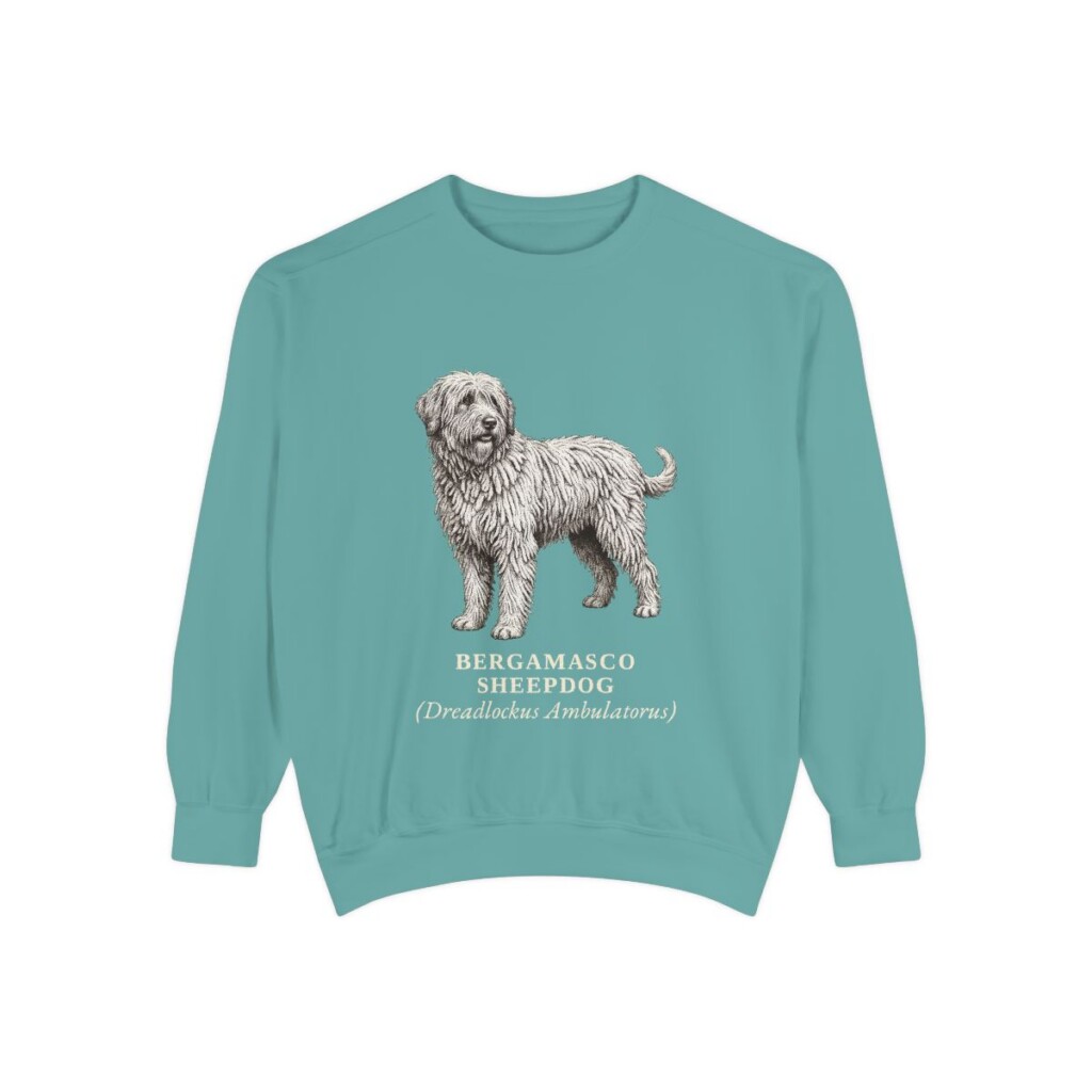 Bergamasco Sheepdog Latin Sweatshirt, Seafoam, front view