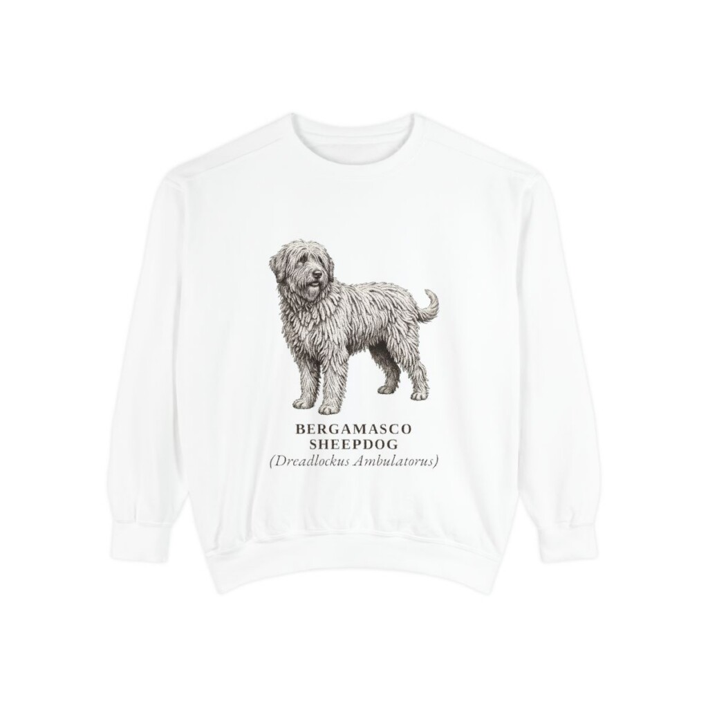 Bergamasco Sheepdog Latin Sweatshirt, White, front view