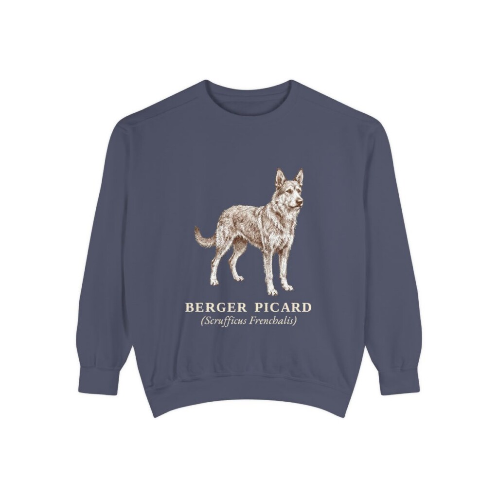 berger-picard-sweatshirt-latin-denim Berger Picard Latin Sweatshirt, Denim, front view
