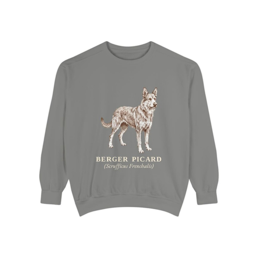 berger-picard-sweatshirt-latin-grey Berger Picard Latin Sweatshirt, Grey, front view