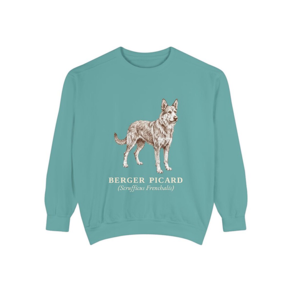 berger-picard-sweatshirt-latin-seafoam Berger Picard Latin Sweatshirt, Seafoam, front view