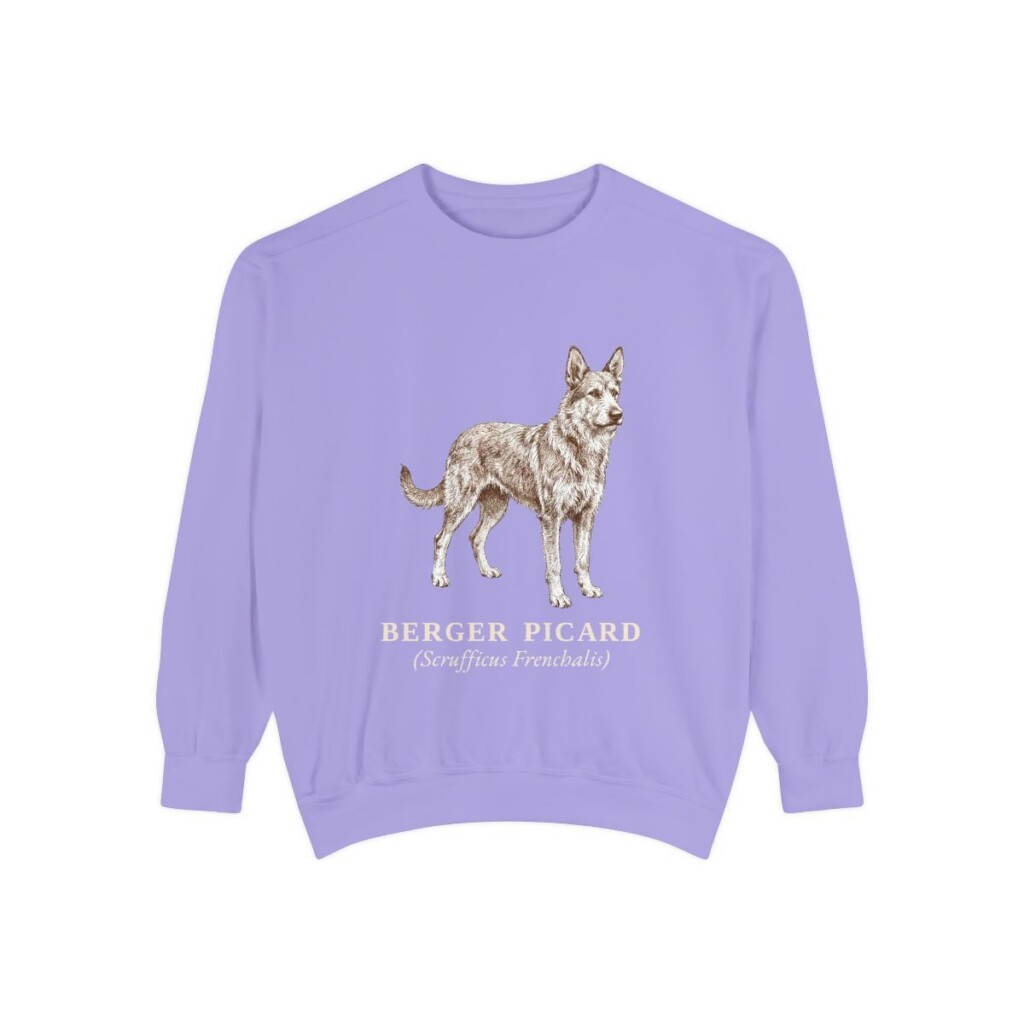 berger-picard-sweatshirt-latin-violet Berger Picard Latin Sweatshirt, Violet, front view